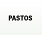 pasto-sintetico
